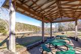 7809 Cozy Cove Road - Photo 21