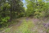 635 Ozark Mountain Resort Drive - Photo 49