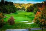 85 Birdie Lane - Photo 43
