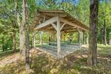 393 Ozark Mountain Resort Drive - Photo 29