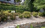 7 Treehouse Lane - Photo 53