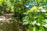 388 Notch Lane - Photo 51