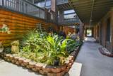 150 Sunken Forest Drive - Photo 30