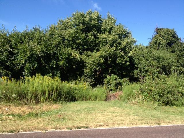 0-Alt4 Us Hwy 160 - Photo 1