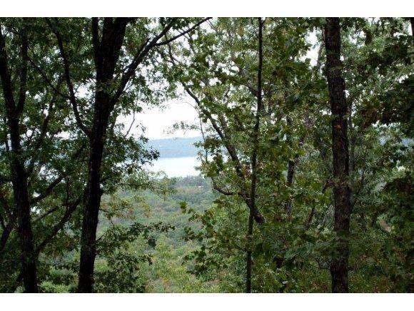 Lot 9 Plateau Lane - Photo 1