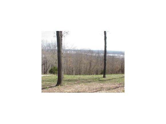 Lot 3 Plateau Lane - Photo 1
