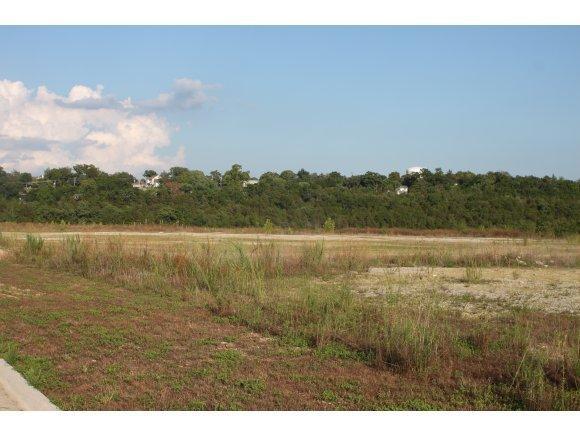 Lot 6 C Birch Street - Photo 1
