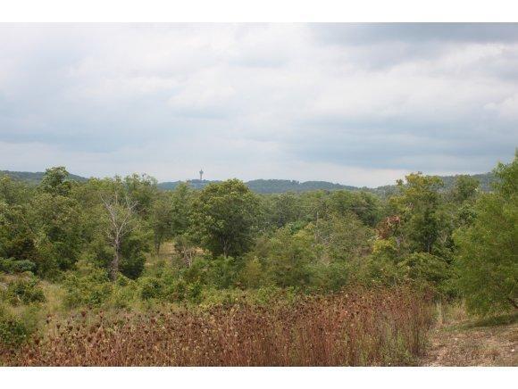 620 Schaefer - Photo 1