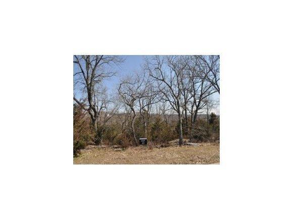 Lot 2 Ballantrae Estates - Photo 1