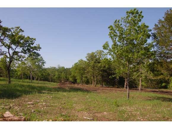 Lot 28 Timber Rock Road - Photo 1