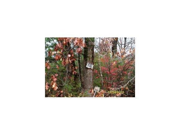 Lot 10 Heron Lane - Photo 1