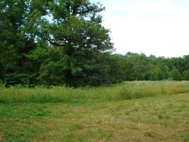 Tbd County Road 2010 - Photo 1