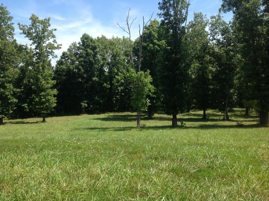 120 Mustang Draw Court - Photo 1