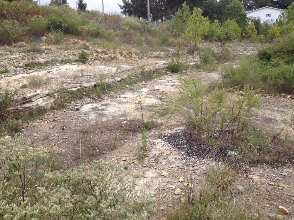 Lot 4 Showplace Gateway - Photo 1