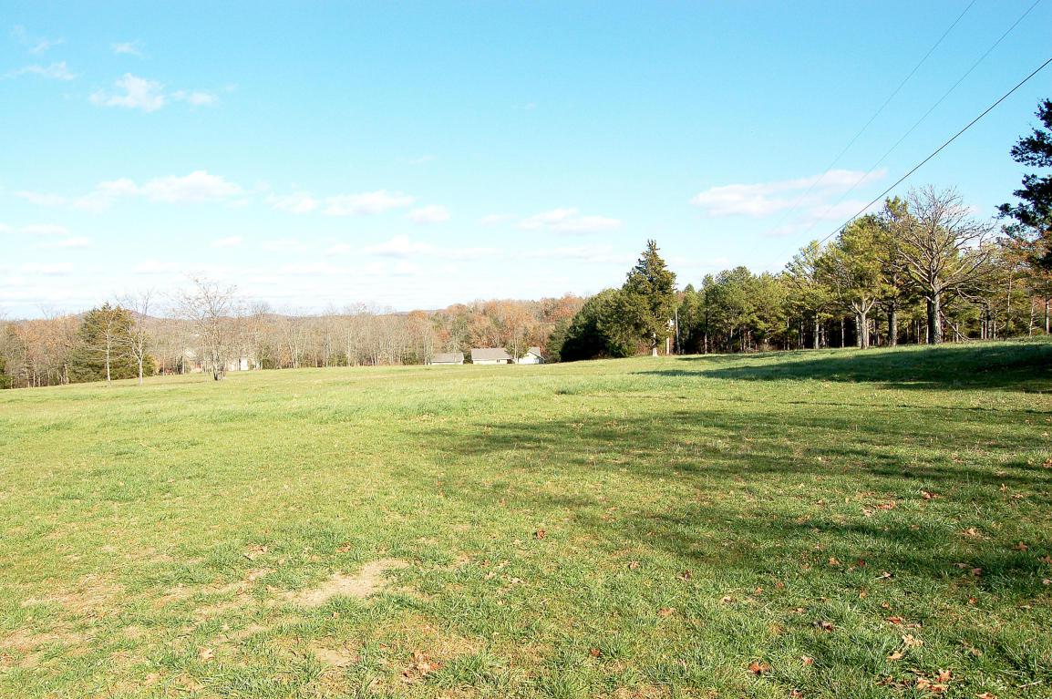 Lot 10 Kicking Mule Lane - Photo 1