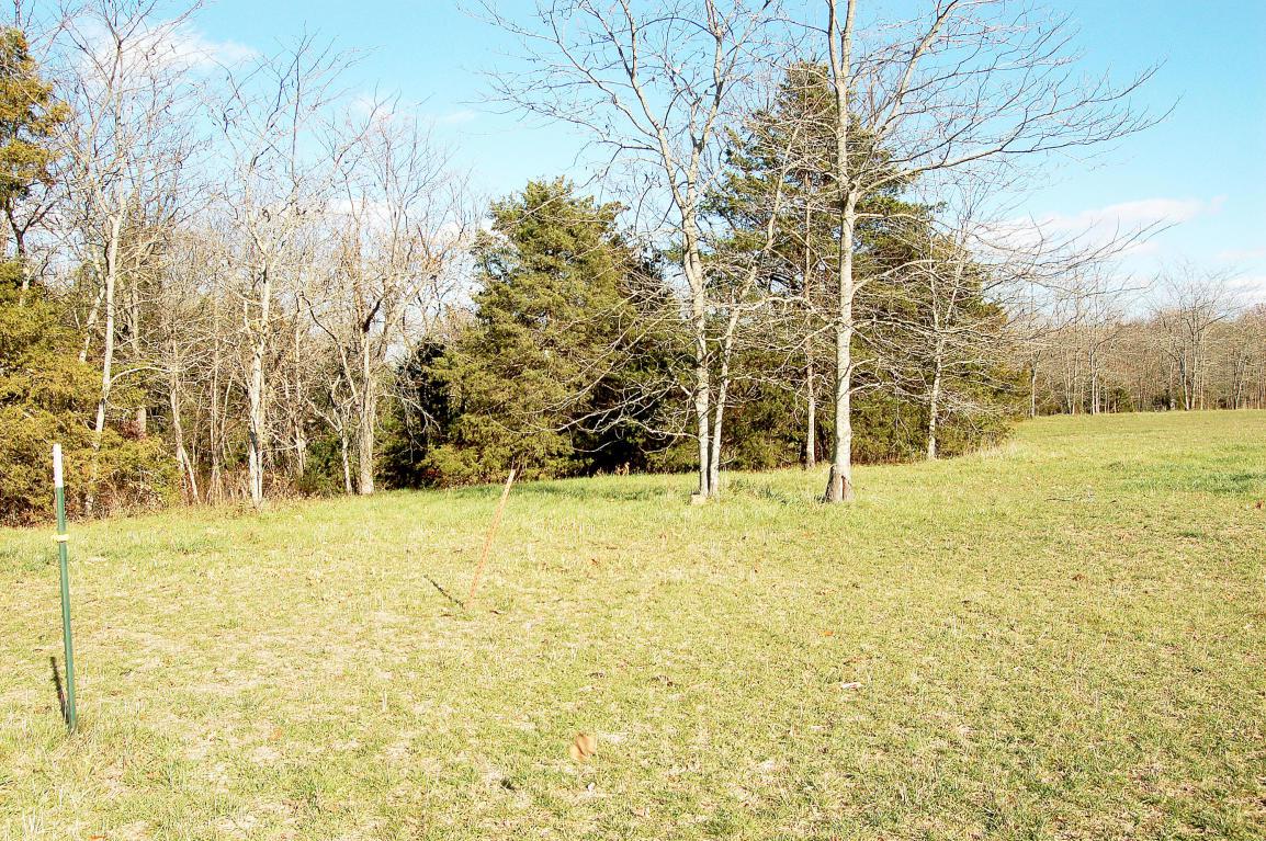 Lot 11 Kicking Mule Lane - Photo 1
