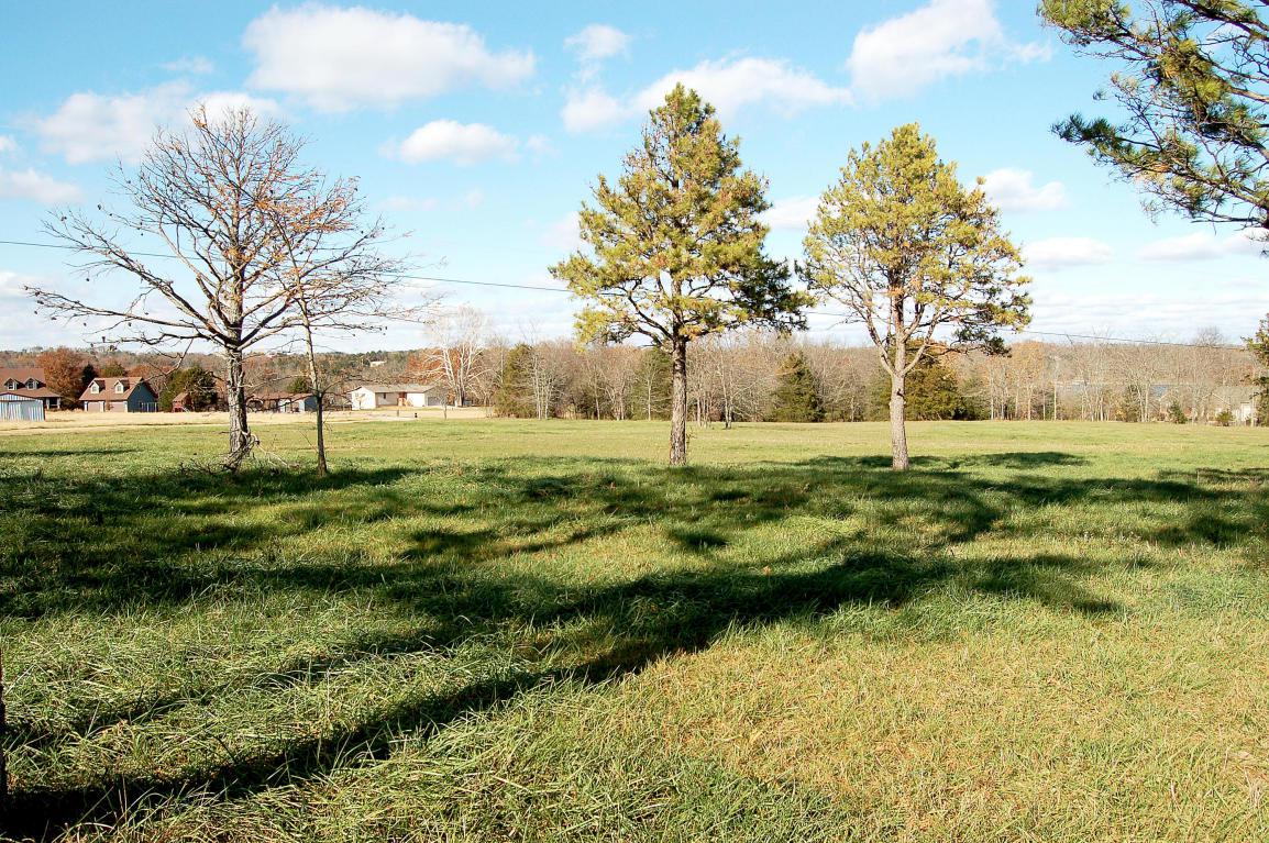 Lot 13 Kicking Mule Lane - Photo 1