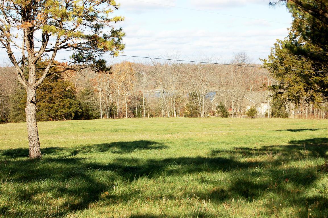 Lot 14 Kicking Mule Lane - Photo 1