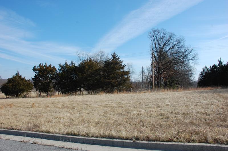 000 Alley Springs Drive - Photo 1