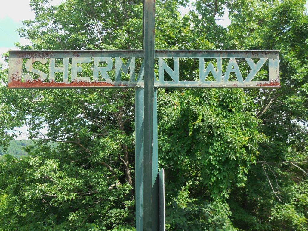 Tbd Sherman Way - Photo 1