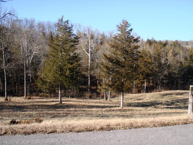 109 Appaloosa Trail - Photo 1 109 Appaloosa Trail - Photo 1