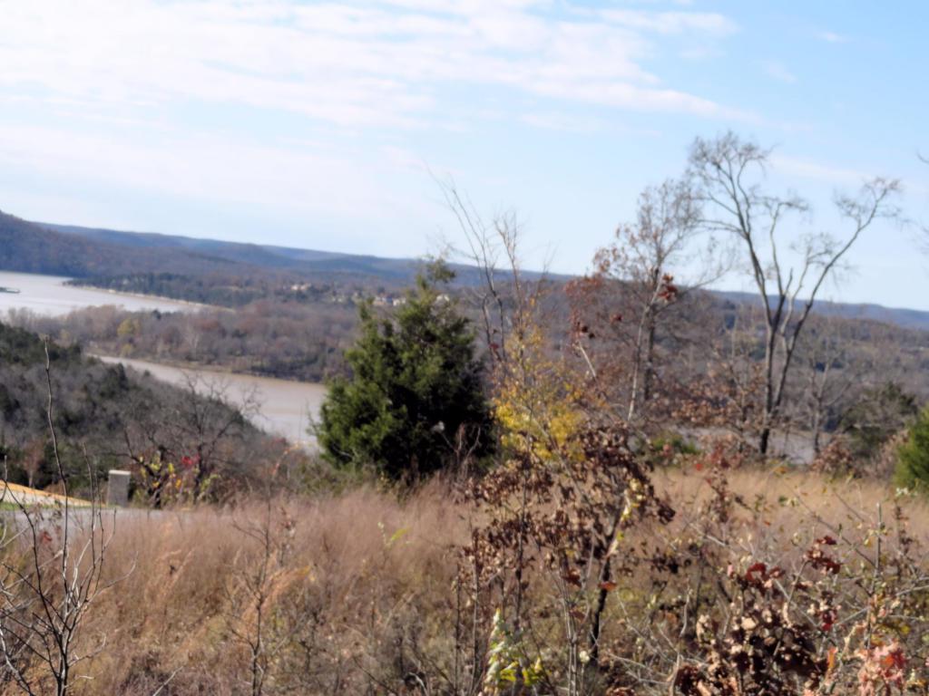 Lot 23 Hanging Branch Rdg - Photo 1