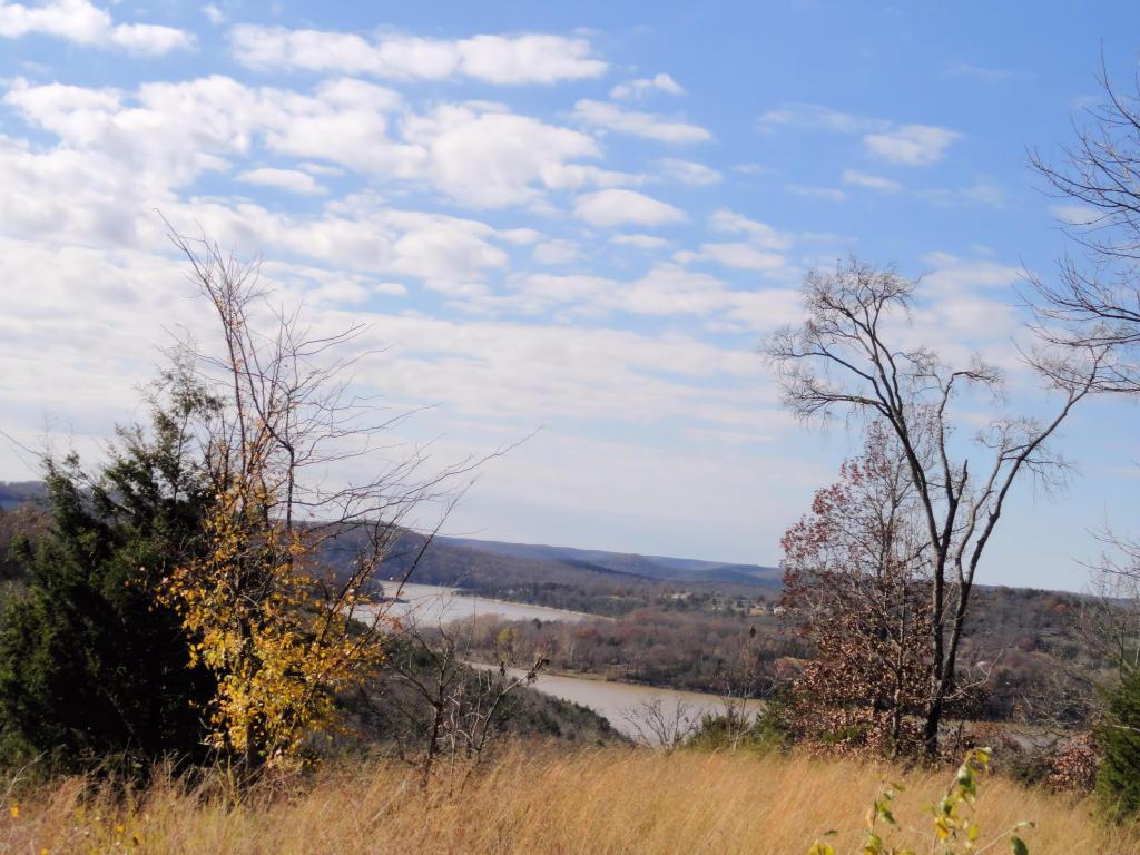 Lot 24 Hanging Branch Rdg - Photo 1
