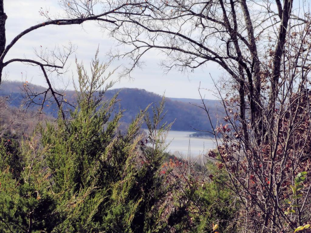 Lot 31 Hanging Branch Rdg - Photo 1