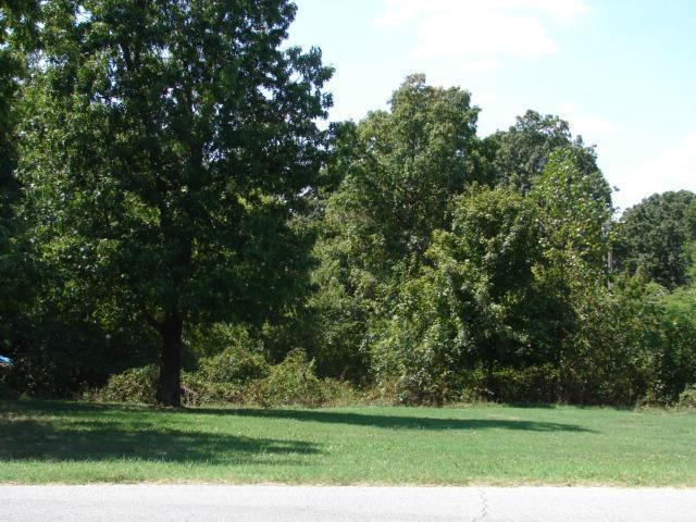 Lot 22 Pine Street - Photo 1