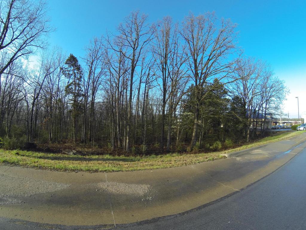 1305 State Hwy. 248 - Photo 1