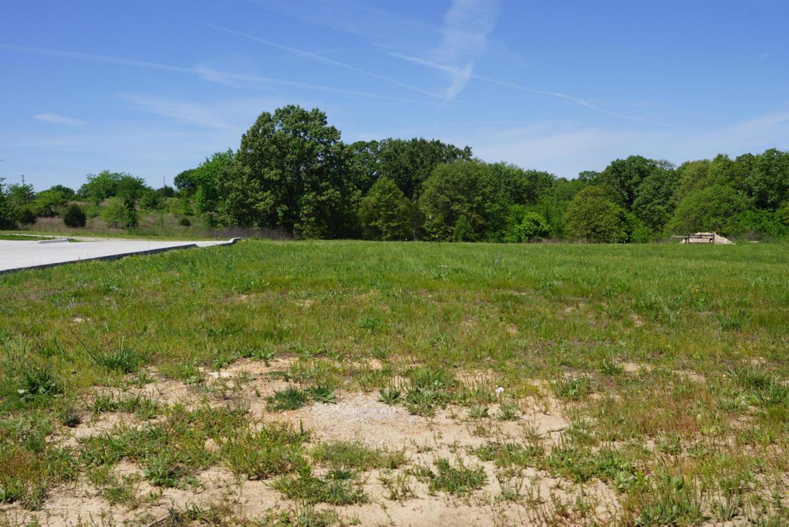 Tbd Mountain View Parkway - Photo 1