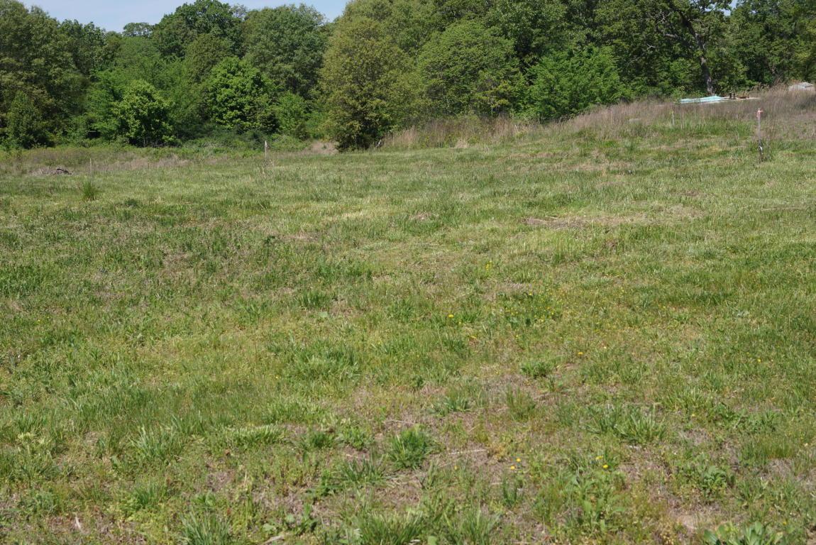 Tbd Mountain View Parkway - Photo 1
