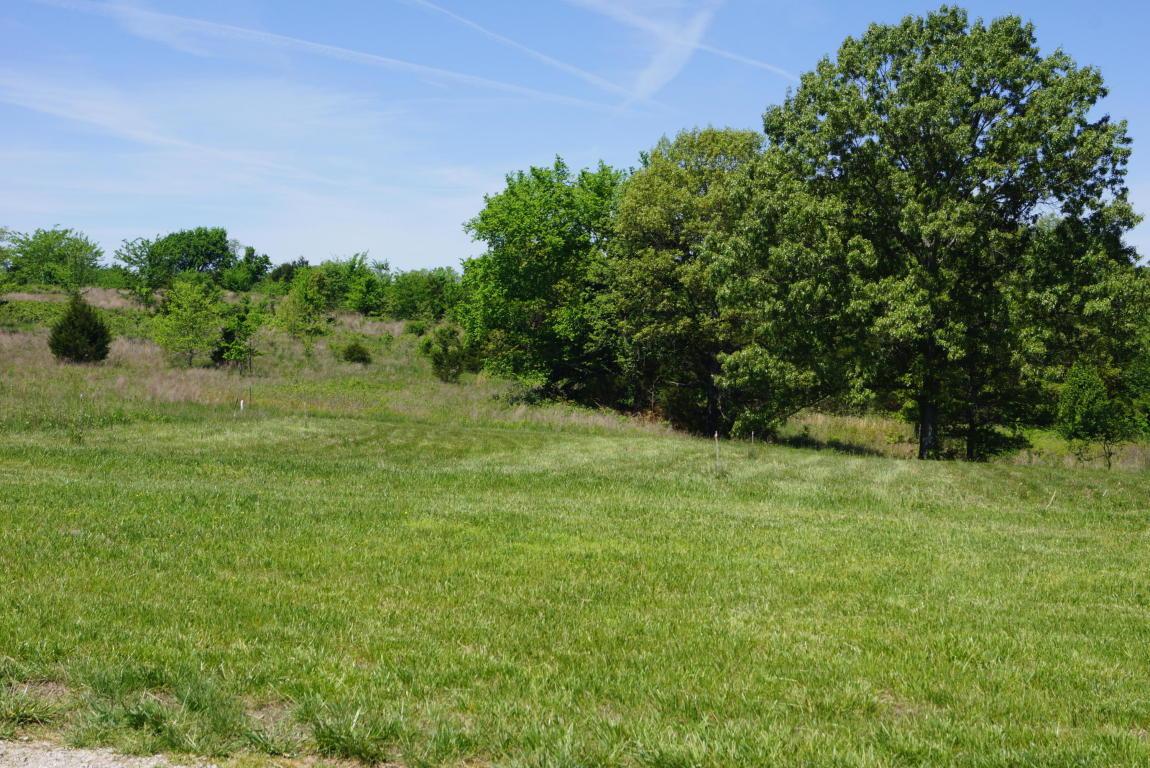 Tbd Mountain View Parkway - Photo 1