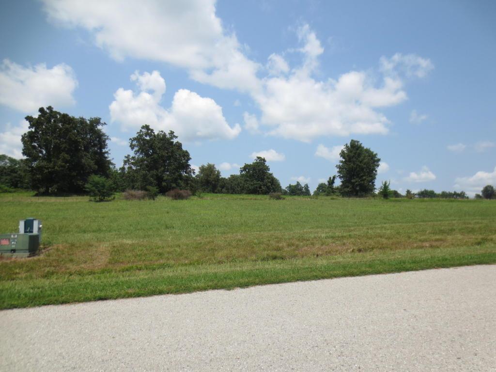 L 53 Robins Nest Hill - Photo 1