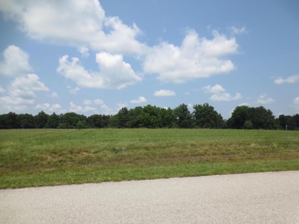 Lot 59 Robins Nest Hill - Photo 1