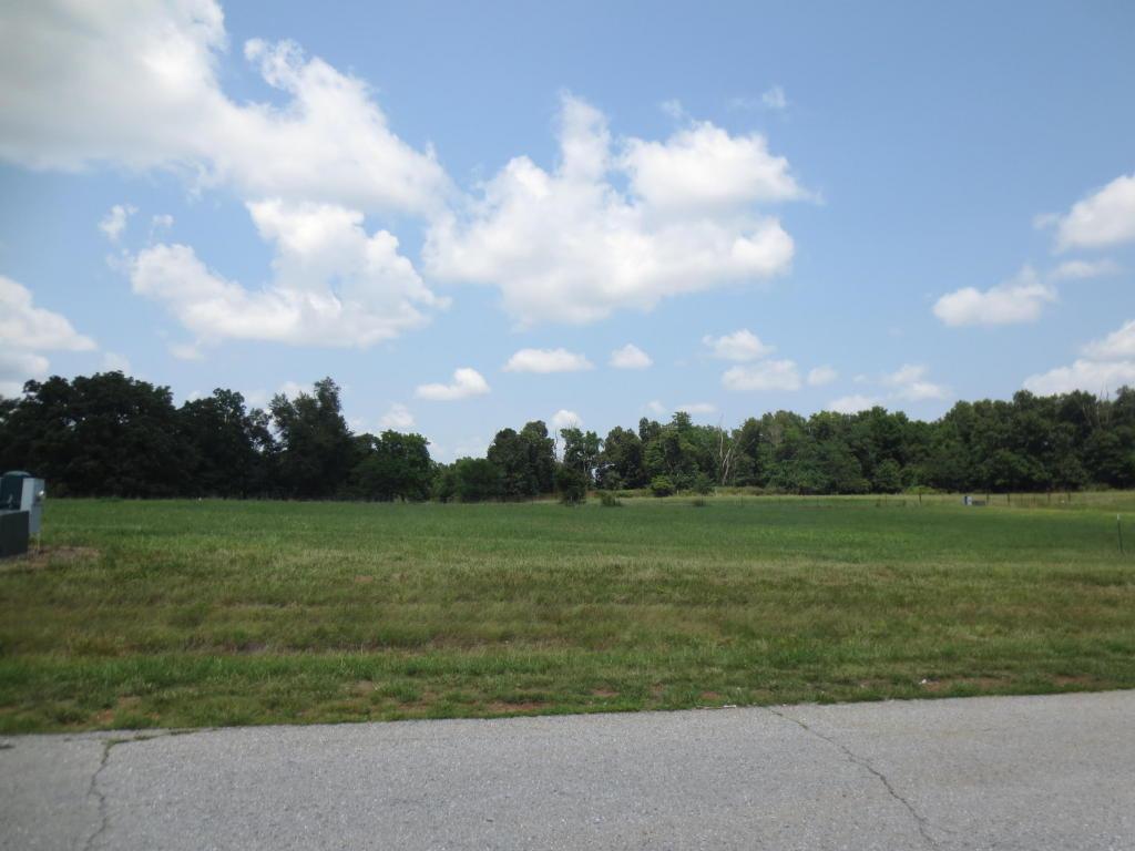 Lot 63 Robins Nest Hill - Photo 1