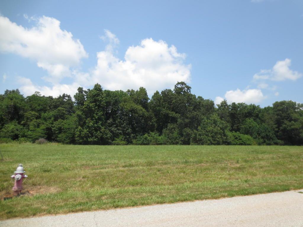 Lot 70 Robins Nest Hill - Photo 1