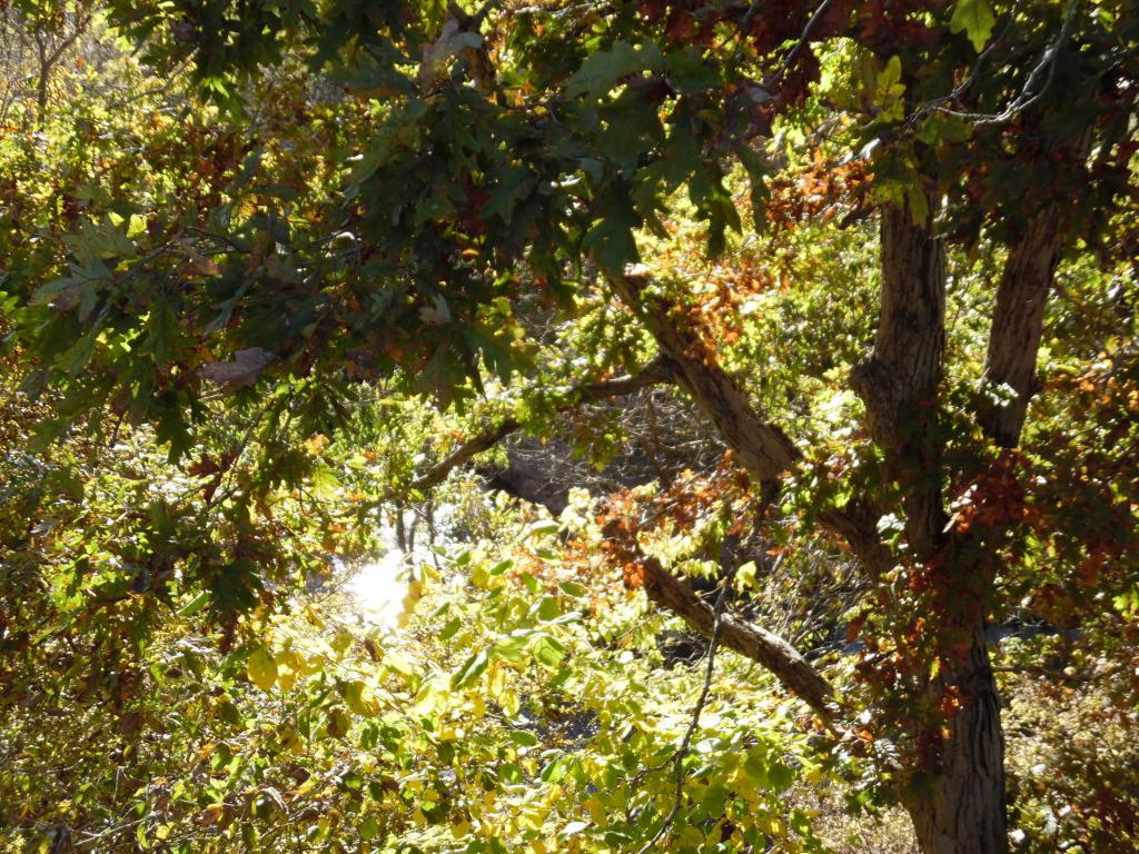 0000 Hwy 37 - Photo 1
