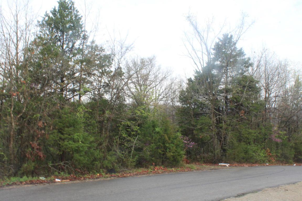 1239 Westwood Drive - Photo 1