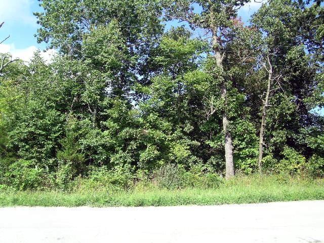 Lot 3,4&5 Marshall - Photo 1