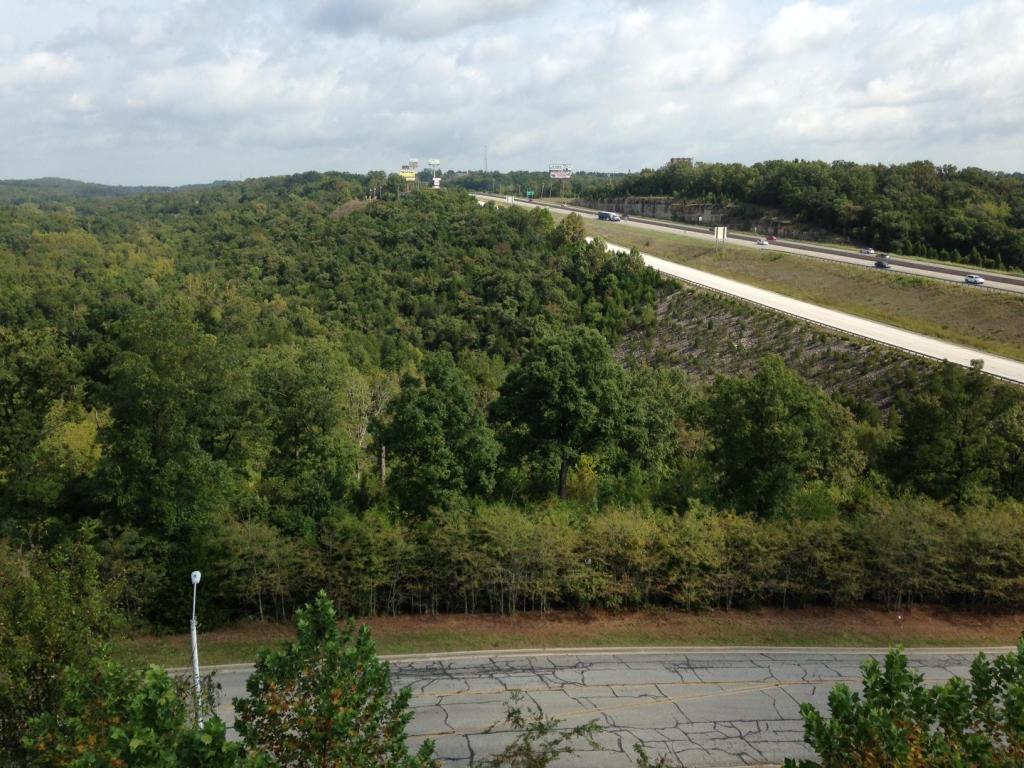 Parcel #2 Ozark Scenic Drive - Photo 1
