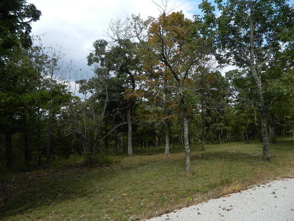 Tbd Pine Top Road - Photo 1
