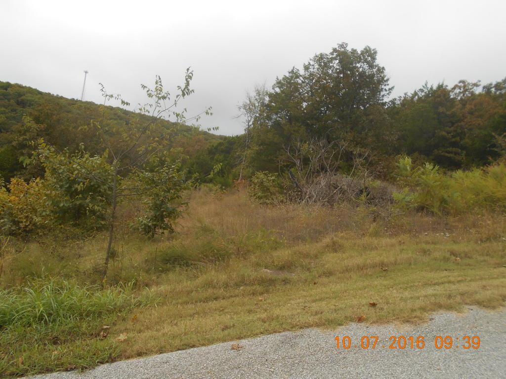 Lot 7 Pine Woods Village Drive - Photo 1
