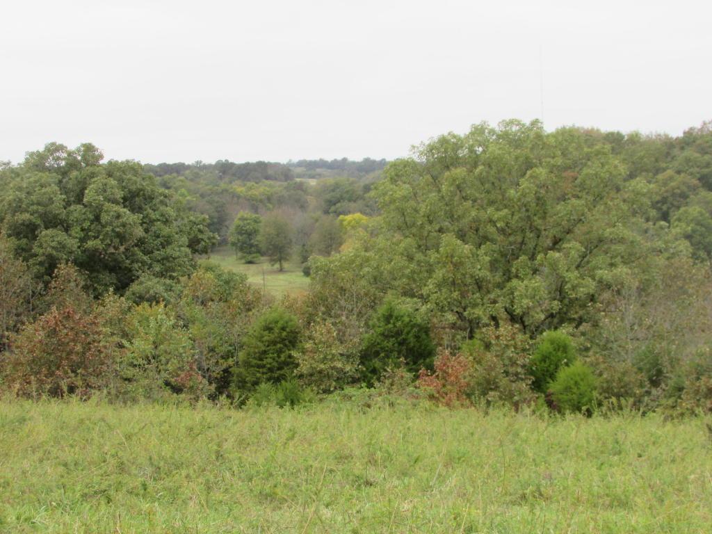 Tbd Silver Lake Road - Photo 1