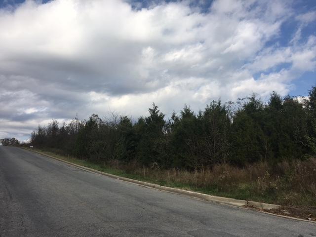 Tbd Kentucky - Photo 1