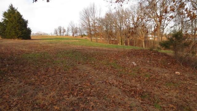 Lot B & C Woodfield Drive - Photo 1
