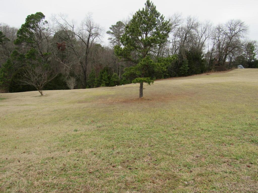 185 Nathan Drive - Photo 1