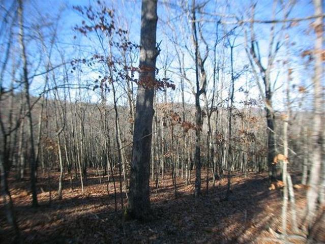 11 Acres Pine Top Road - Photo 1