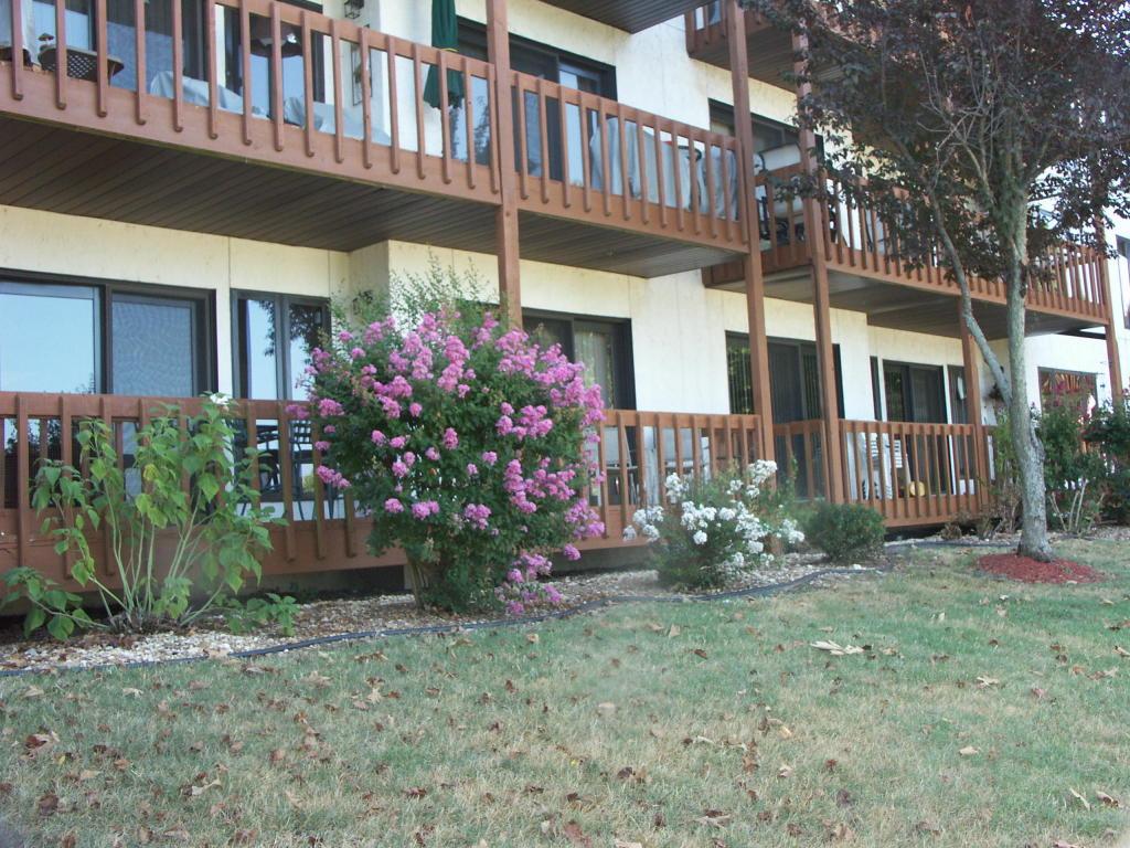 1705 Paradise Landing - Photo 1