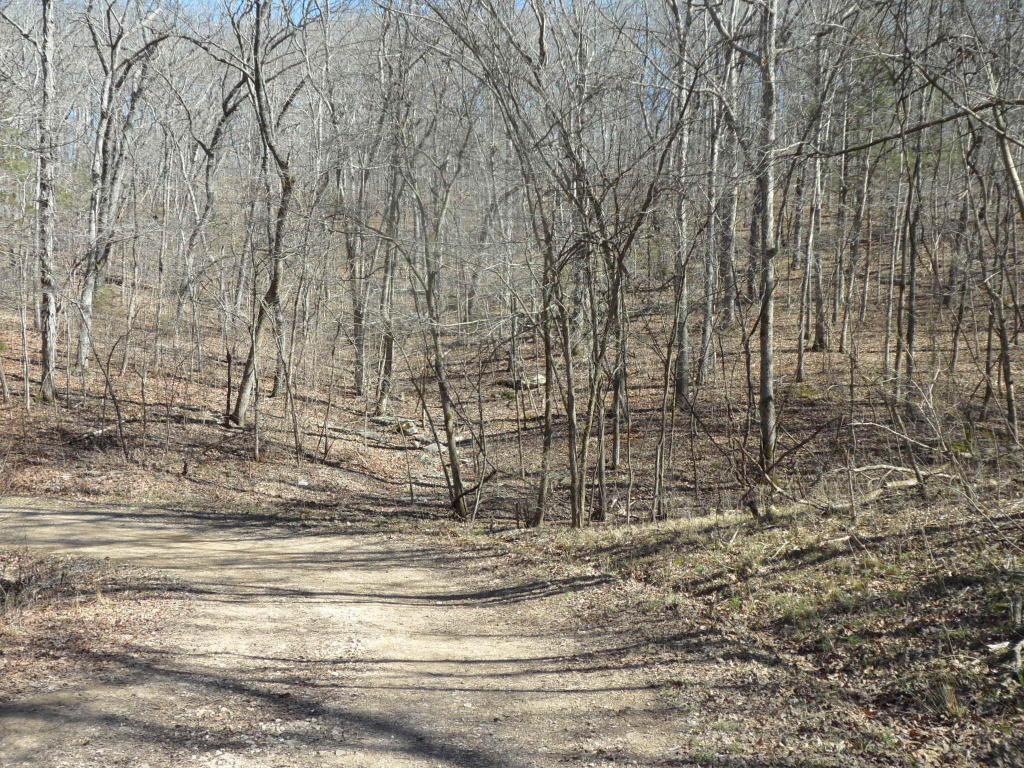 Tbd Cedar Ridge - Photo 1